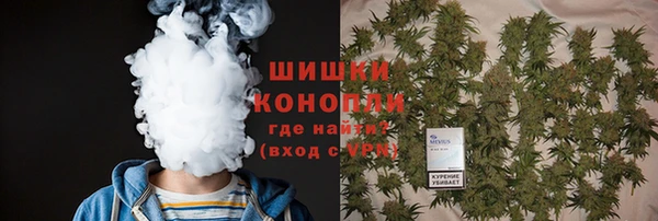 молекула духа Каменск-Шахтинский