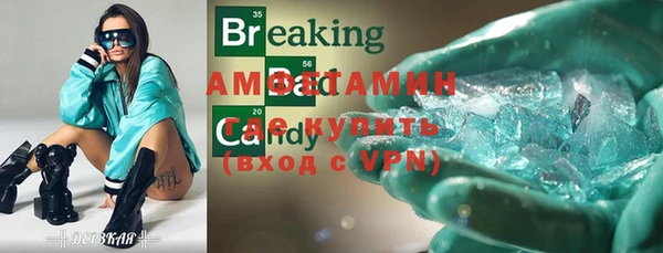 прущие грибы Карталы