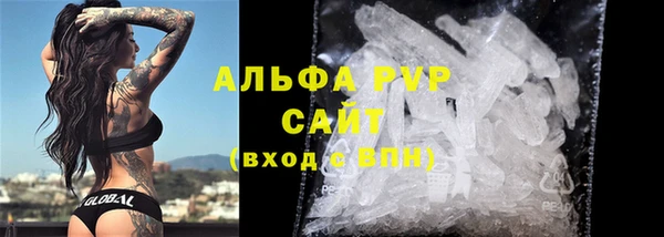 молекула духа Каменск-Шахтинский