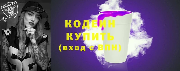 молекула духа Каменск-Шахтинский