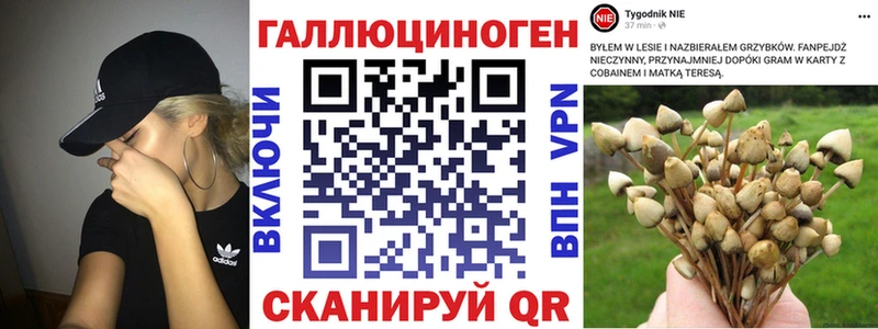 Галлюциногенные грибы MAGIC MUSHROOMS  Купить закладки  Серафимович 